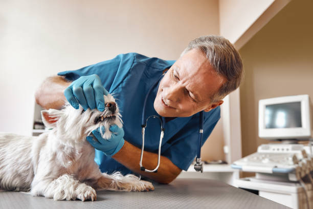 Best Weekend Emergency Dental Services in Tyndall Af, FL